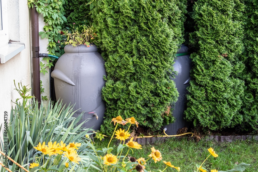 Underground Rain Barrels