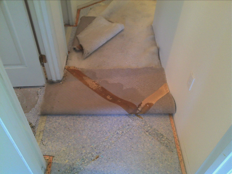 My Floor Restore Flood and Water Damage Restoration