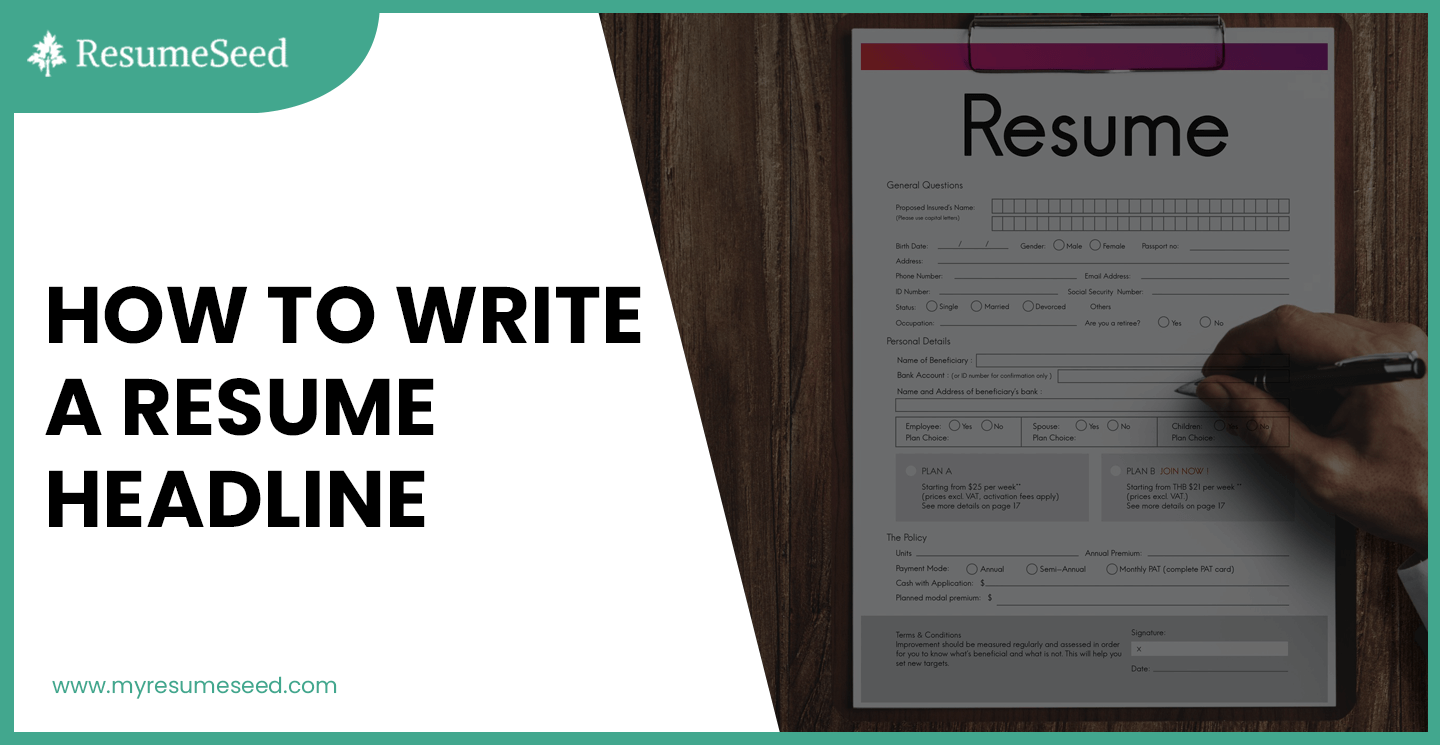 How to Write a Resume Headline (With examples) ResumeSeed