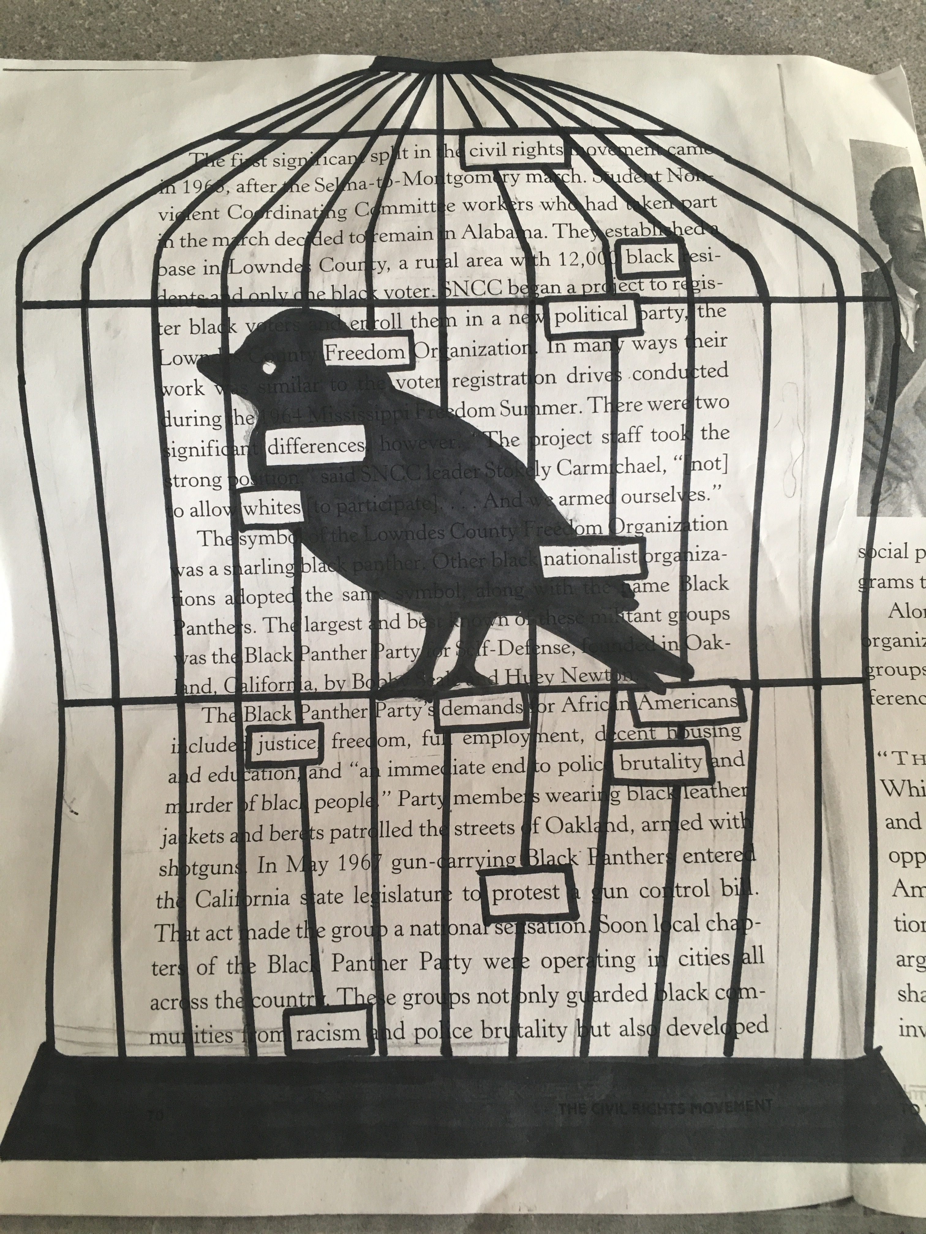 What Does The Cage Represent In Caged Bird at Sheila Davis blog