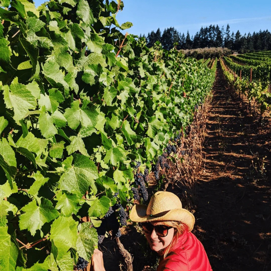 Romeo Red Loop de Loop MYSA Natural Wine