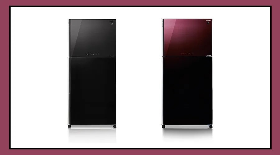 Sharp launches New Air Purifiers, Washing Machines and Refrigerators in