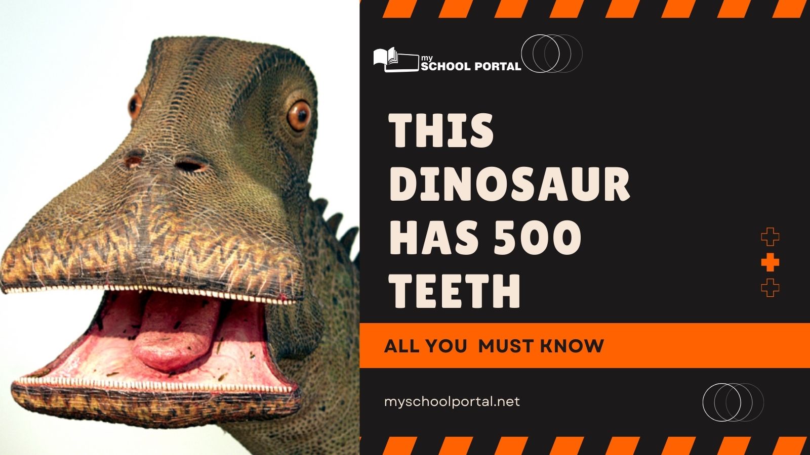 The Dinosaur with Over 500 Teeth and Its Amazing Story My School