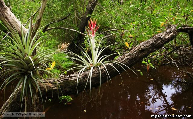 Modifications of Root My files File Catalog alladi's