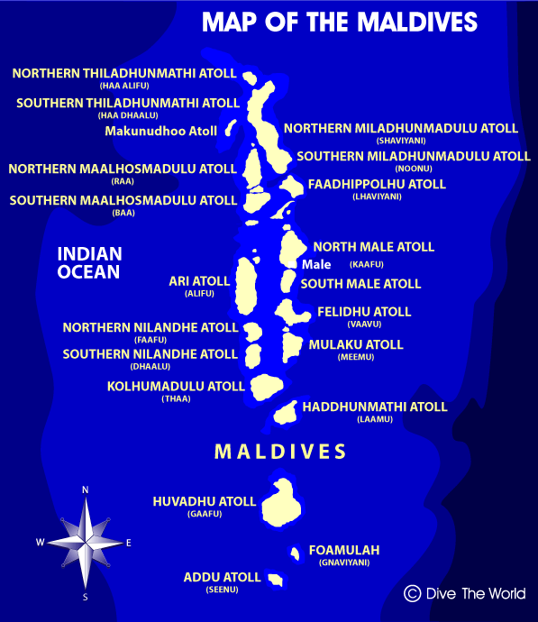 Best Scuba Diving in the Maldives Joe's Scuba Shack