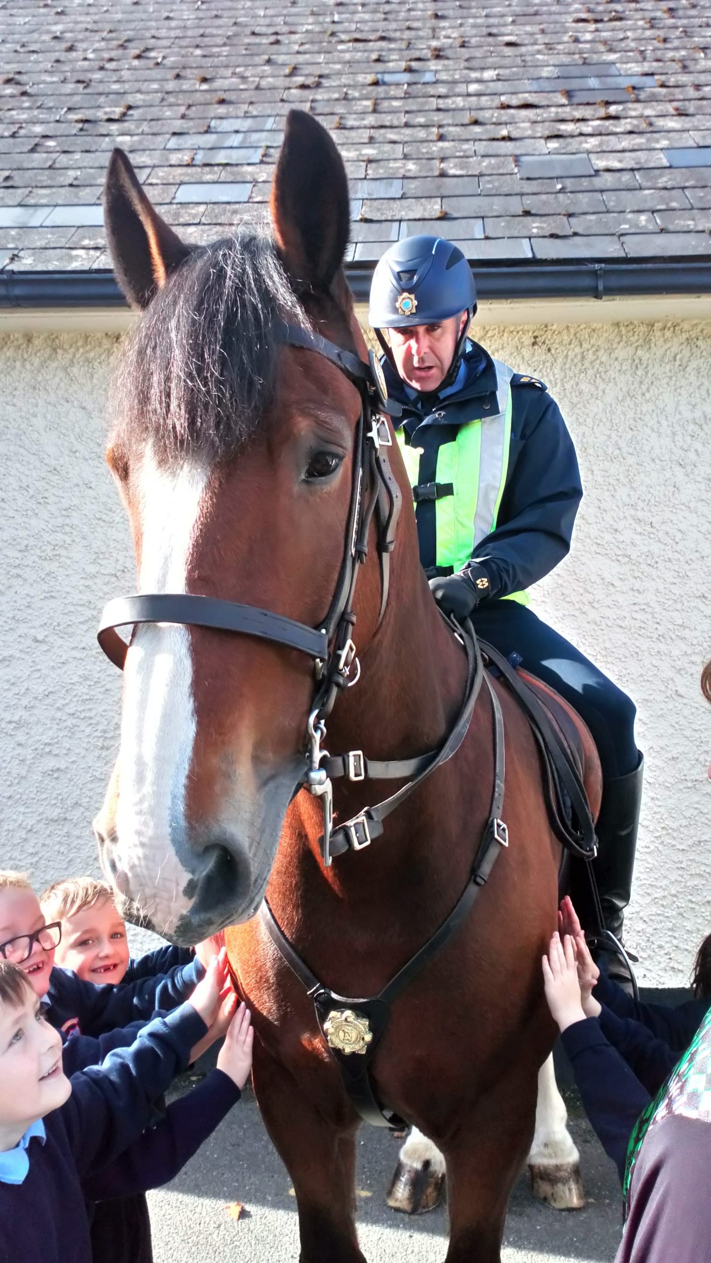An Garda Mounted Support Unit Myshall N.S.