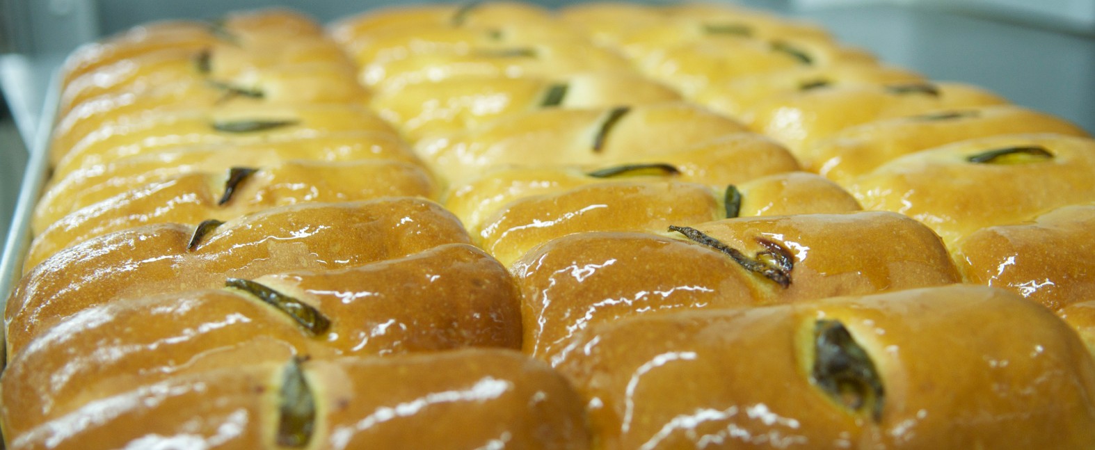 Kolache Delivery Kolache Catering MyShipleyDonuts