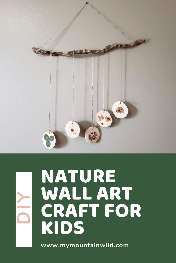 DIY Nature Wall Art Craft For Kids My Simple Wild