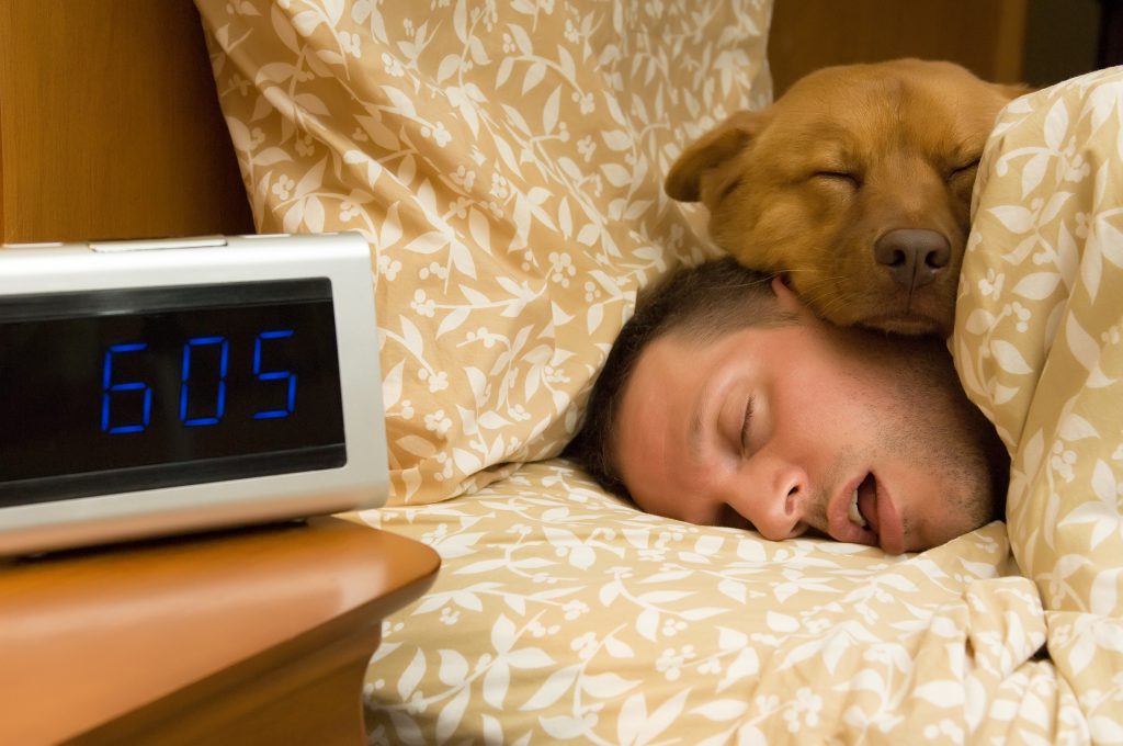 Discover the Pros and Cons of Sleeping with Your Dog My Sleep