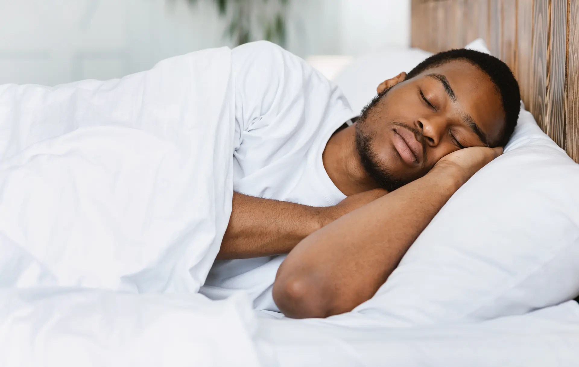 Why Do We Need Sleep? The Essential Science MySleepstick