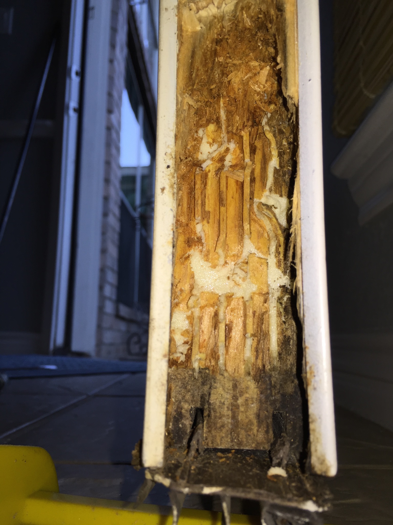 Rotten Wood on Door Fix - What You Need and How To