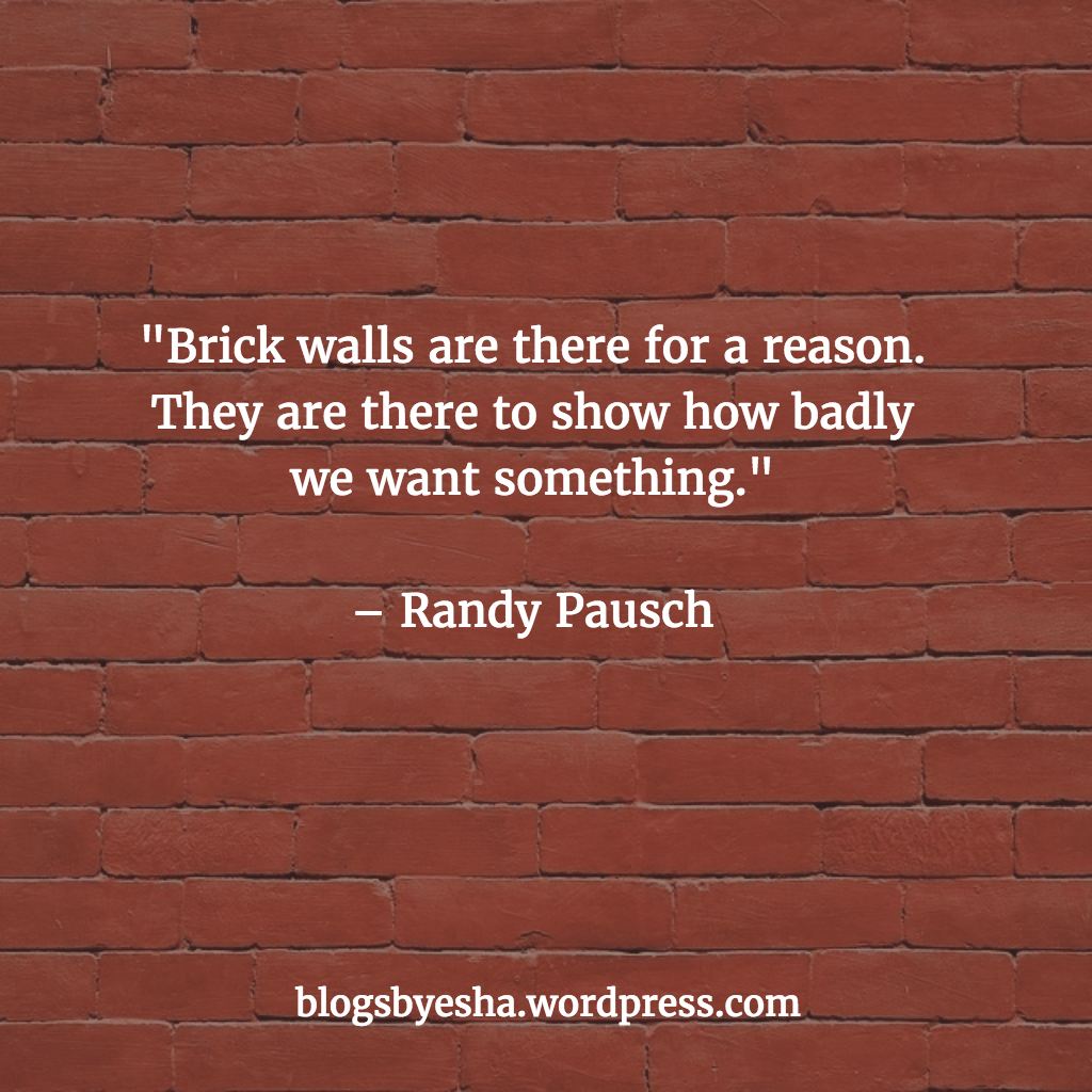 Facing the Brick Wall Monday Musings My Soultalks