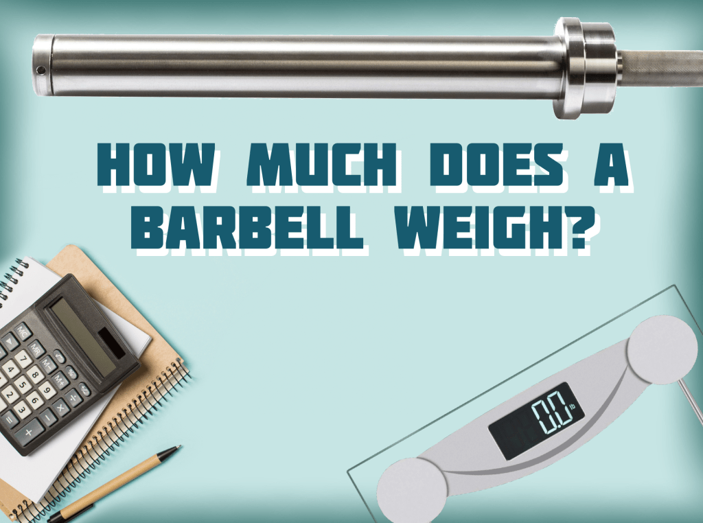 How Much Does A Barbell Weigh? My Sports Shop