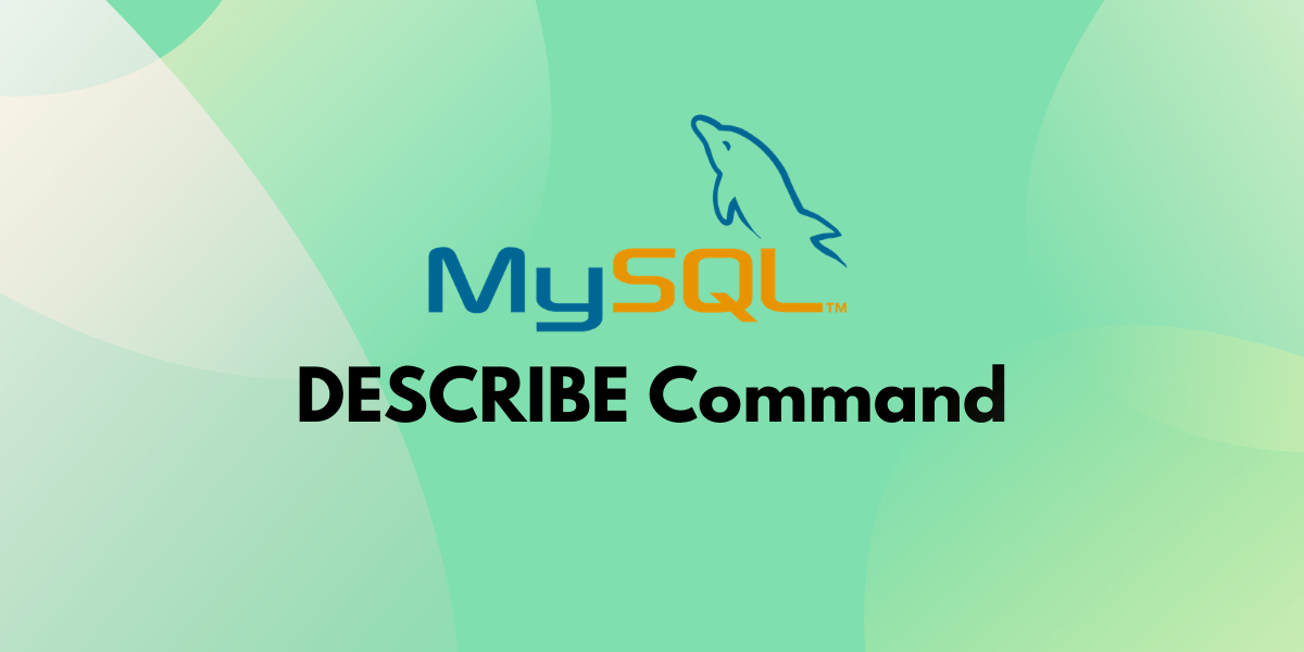 MySQL DESCRIBE Get Detailed Information on Database Tables MySQLCode