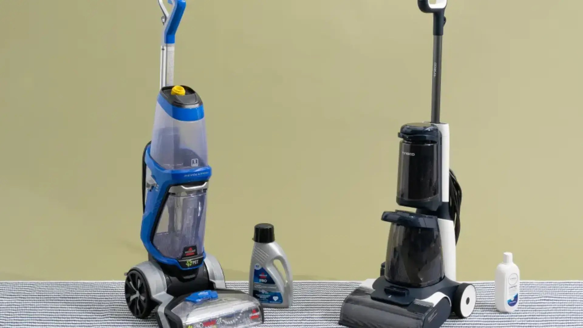Best Carpet Cleaning Reviews Find Professional Cleaners