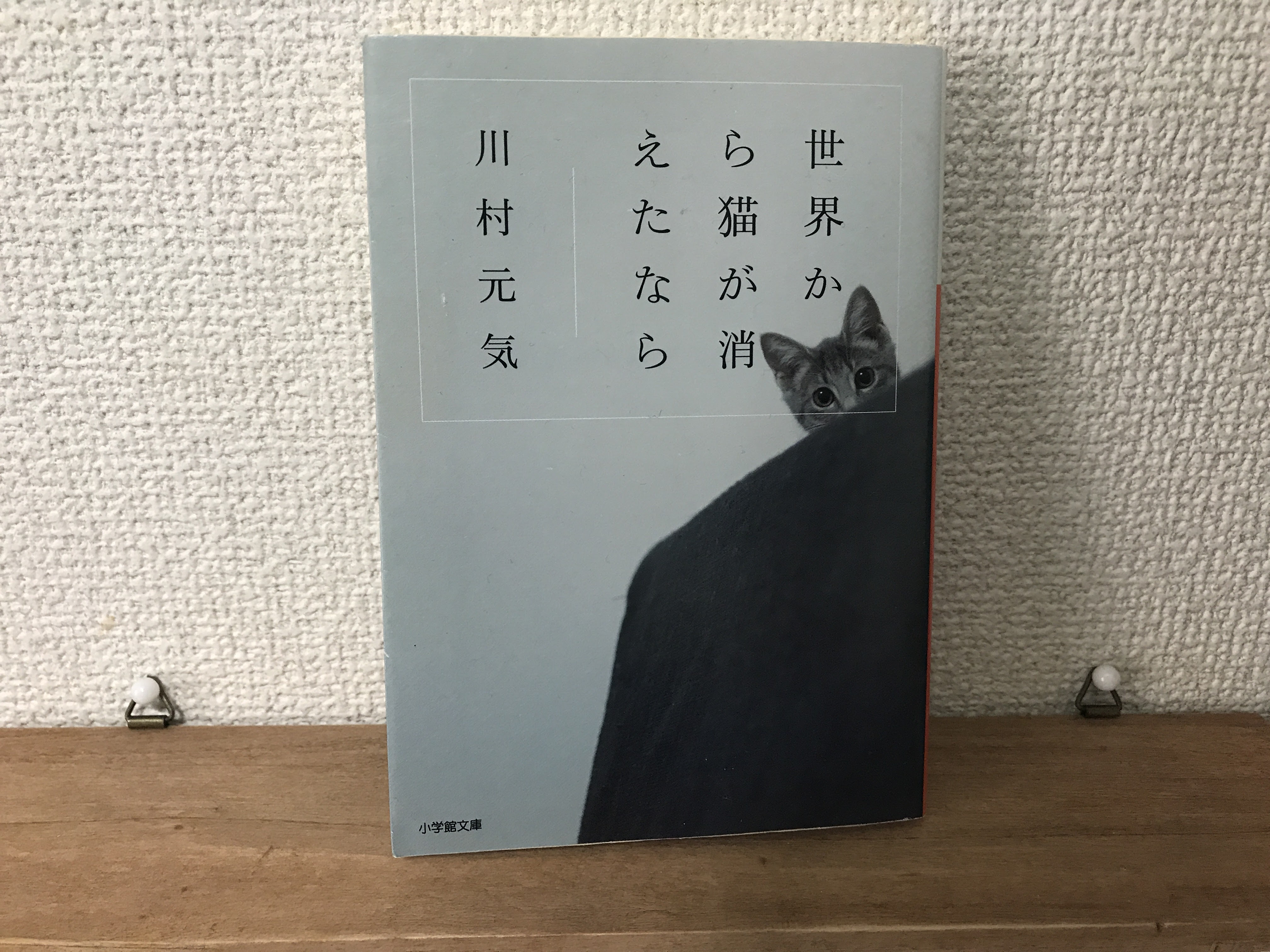 世界から猫が消えたなら 読書感想文の例文～小学校中・高学年向け～ | 感想文の豆知識！ 川村元気「世界から猫が消えたなら」感想 愛する人が亡くなる瞬間何を想う？ |