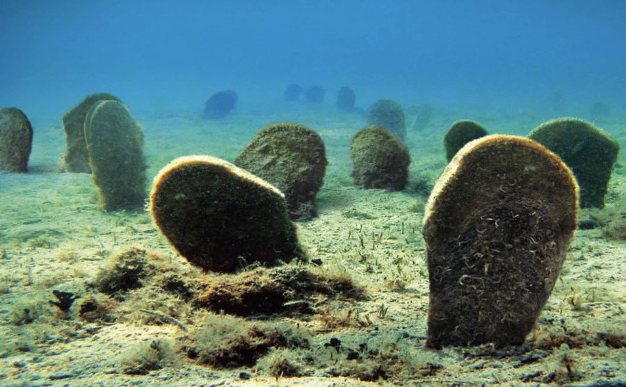 Town Under Lake Lanier