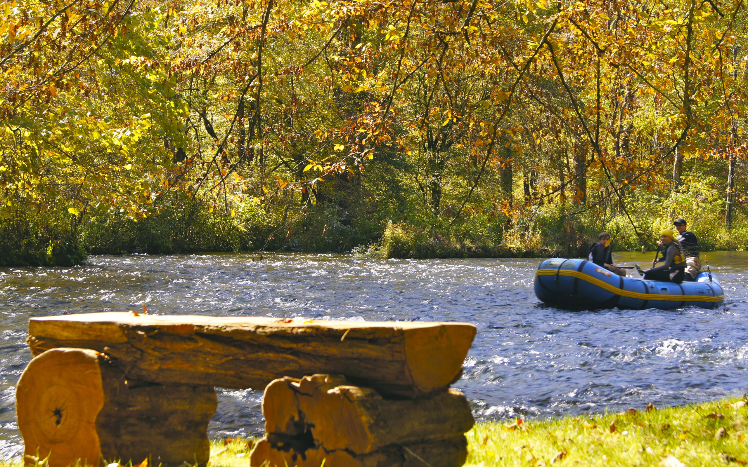 Communities in Nature in the Great Smokies Mystic Lands