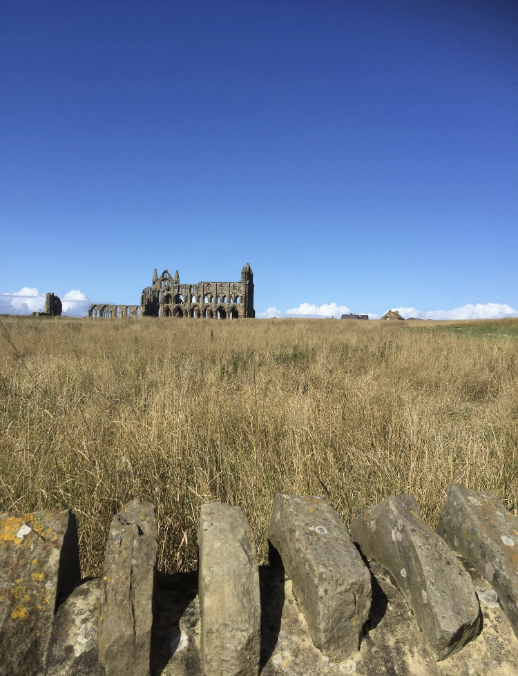 Mystic Isle Gallery Mystic Isle