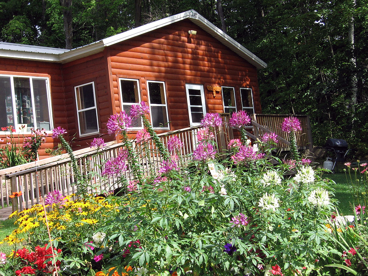 Cabin 3 Moose House Hayward, Wisconsin Resort Cabin Rental
