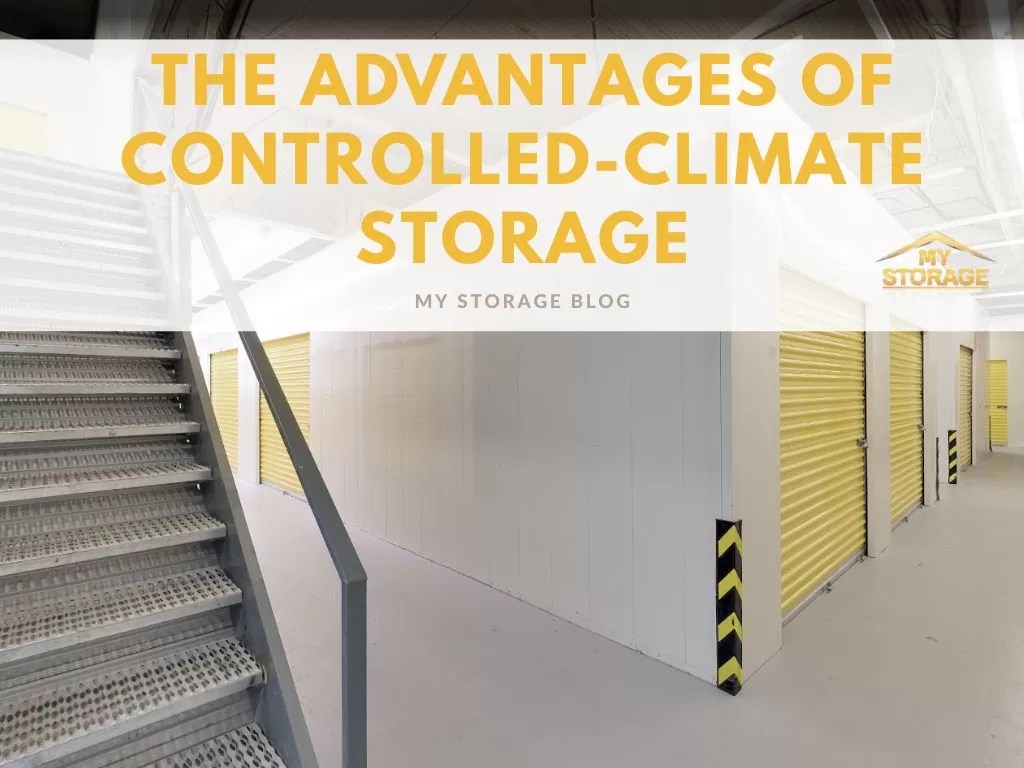 The Advantages of Controlled-Climate Storage Solutions in Toronto | My