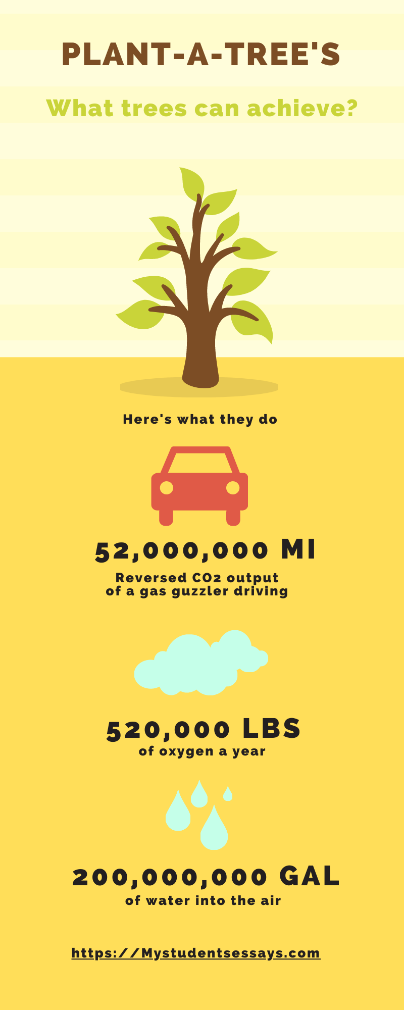 Trees are Our Best Friends Essay to Must Read in 2024! Student Essays