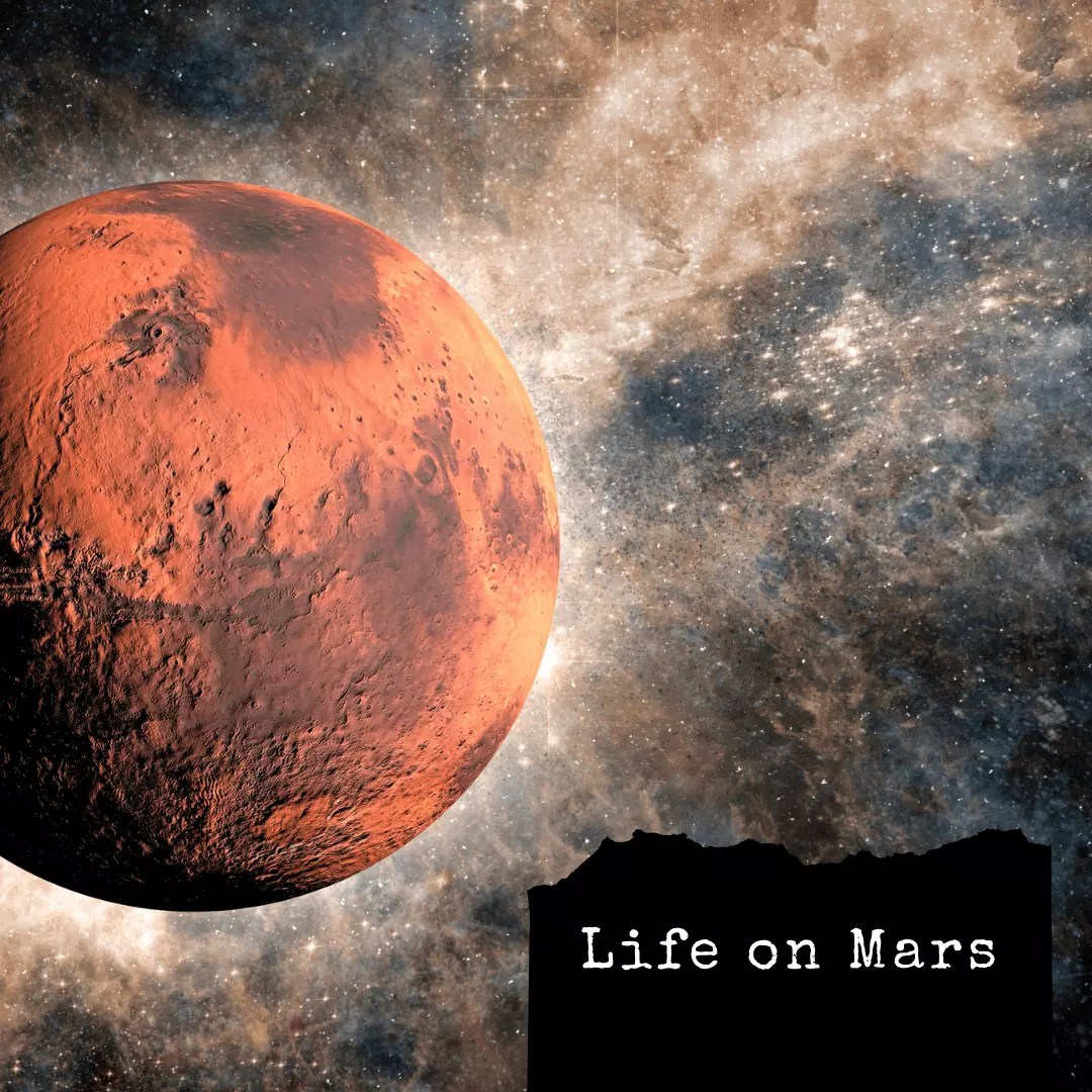 Essay on Life on Mars About Life on Mars Student Essays