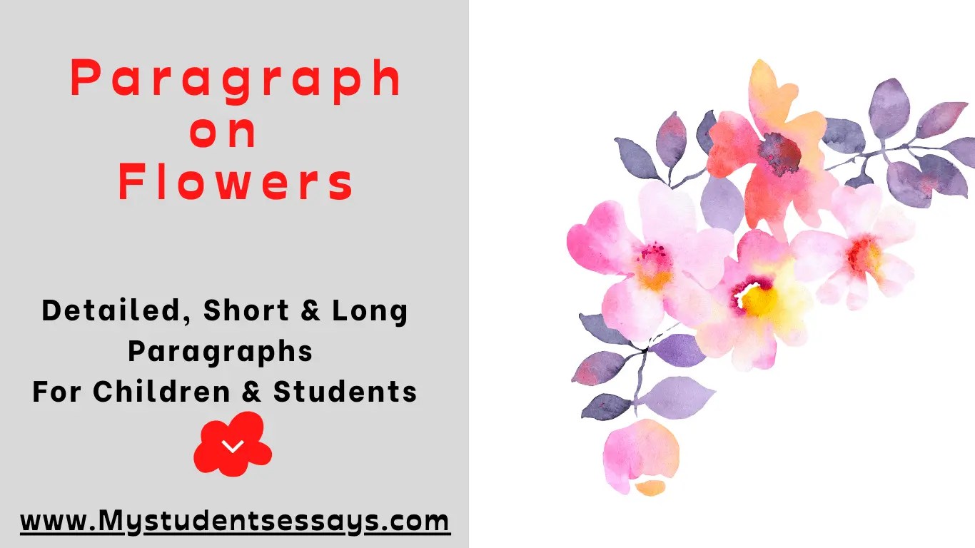 4 Unique Paragraphs on Flowers Importance of Flowers in Life [ 2024 ]
