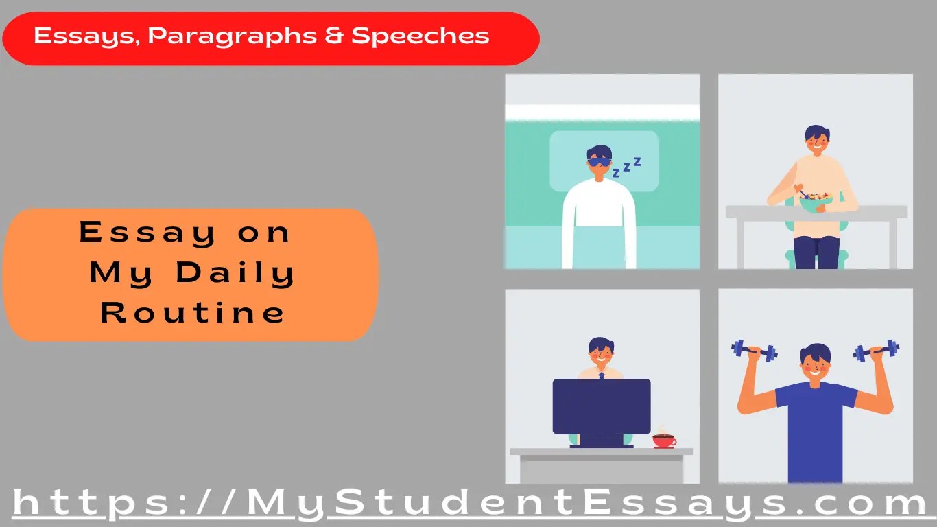 Essay on My Daily Routine For Students