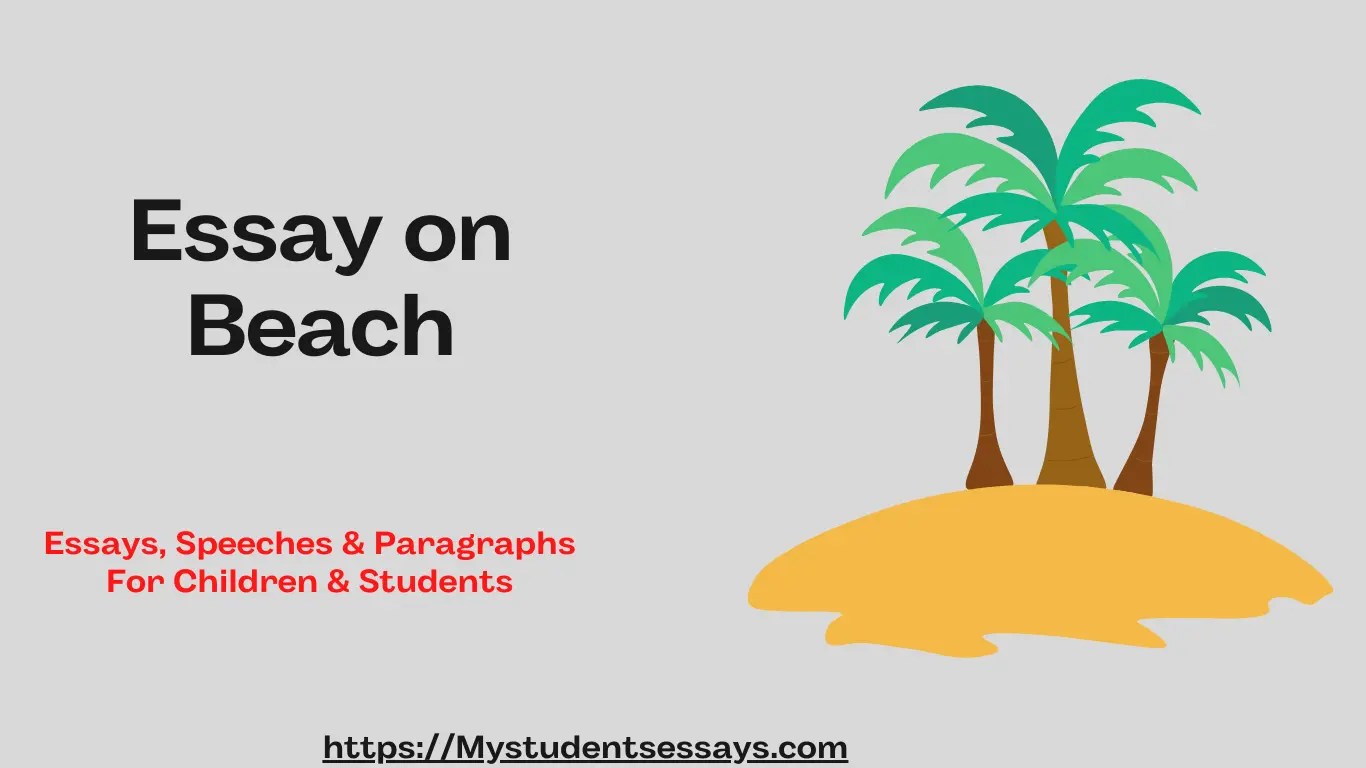 Essay on Beach For Students Student Essays