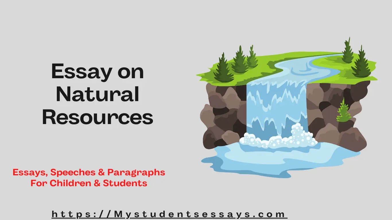Essay on Natural Resources Natural Resources Management
