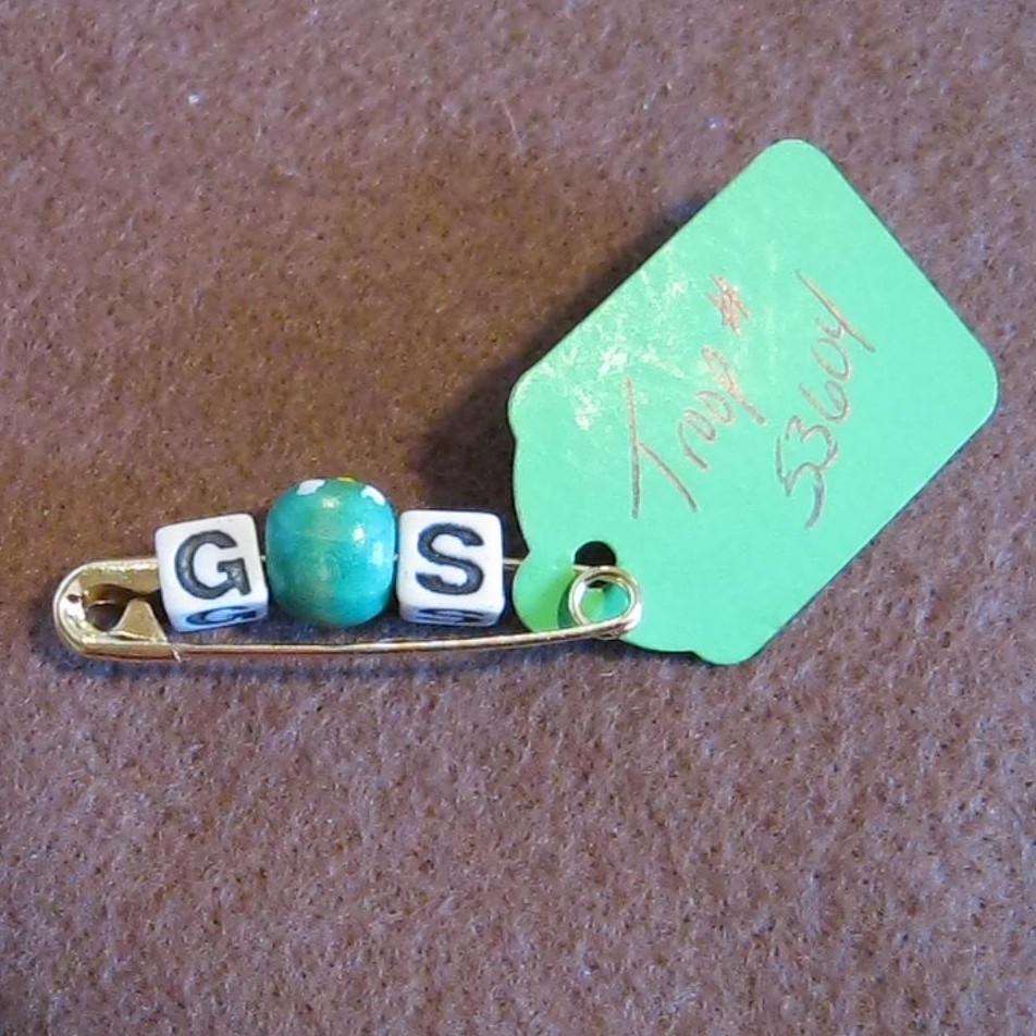 girl scout pin swap My Swaps Collection