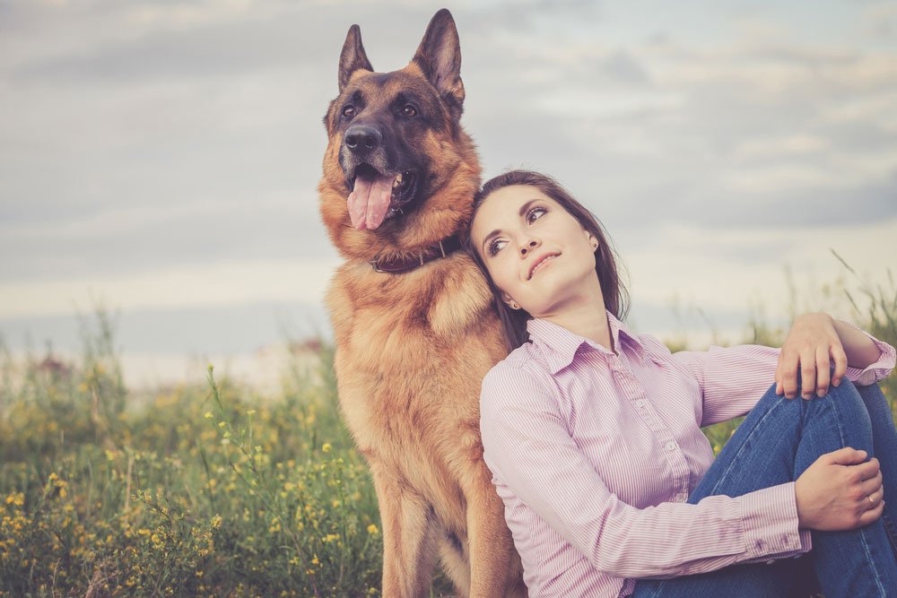 How long do German Shepherds live?