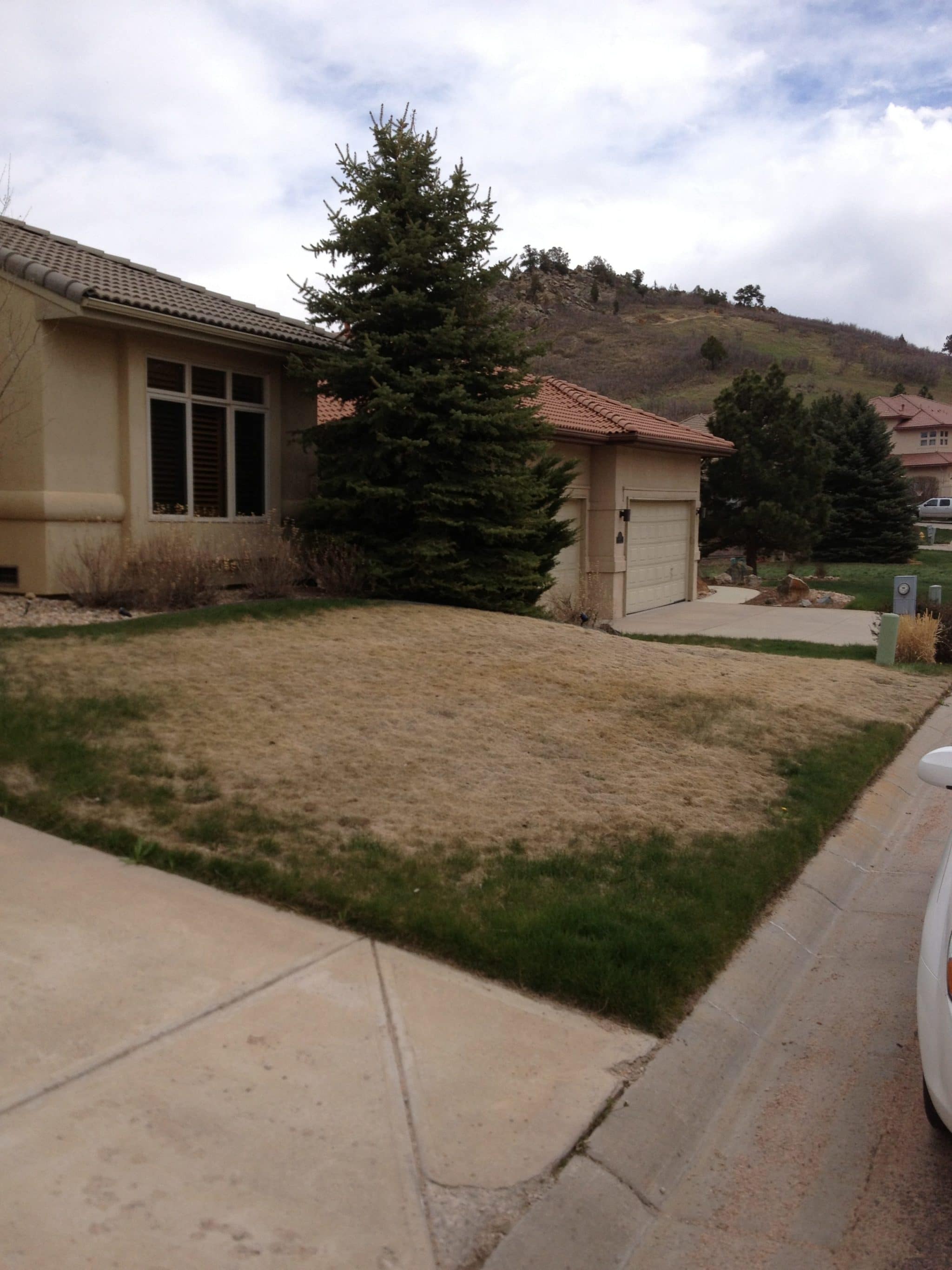 Lawn Mite Control Denver & Fort Collins Lawn Care