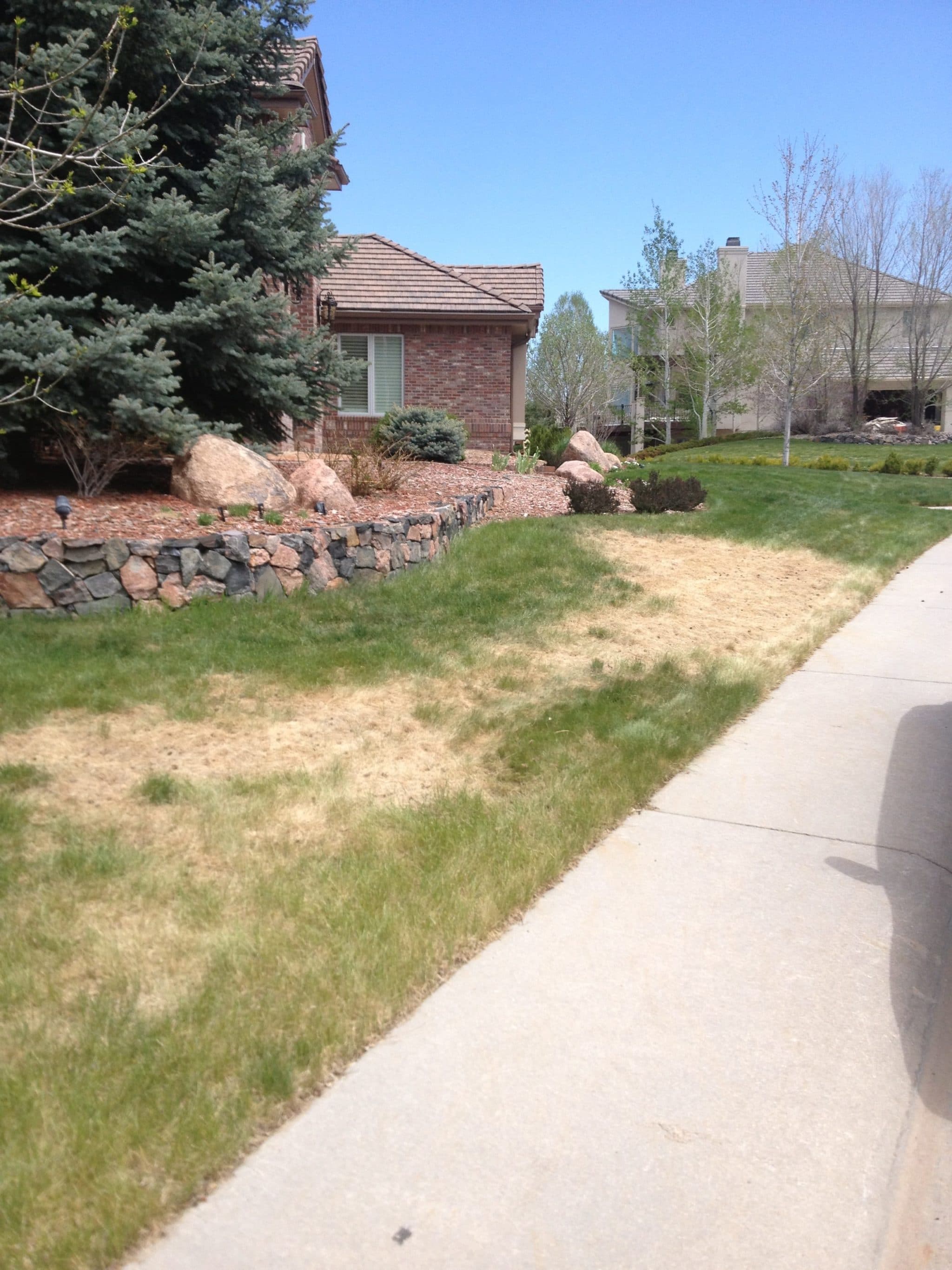 Lawn Mite Control Denver & Fort Collins Lawn Care