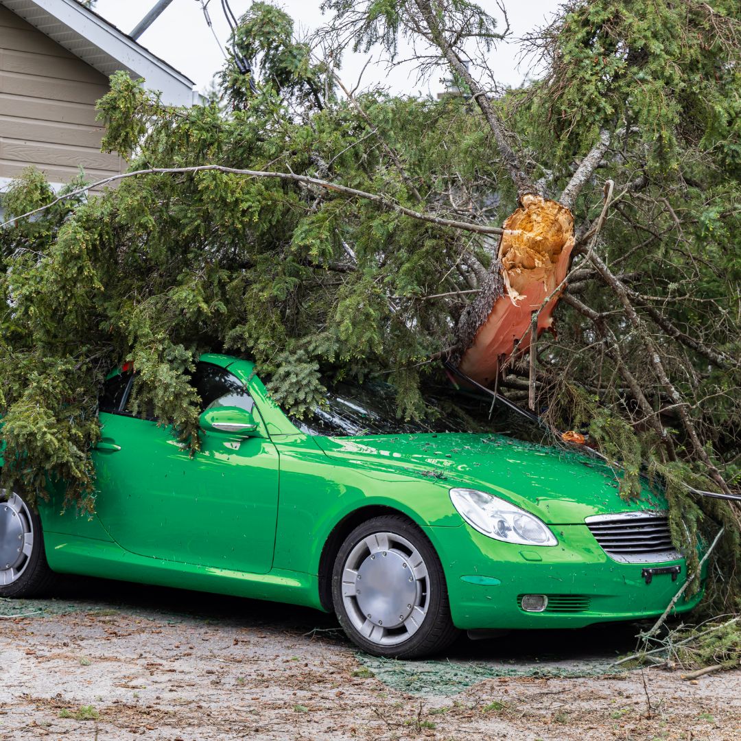 Auto Insurance Coverage Tango Insurance