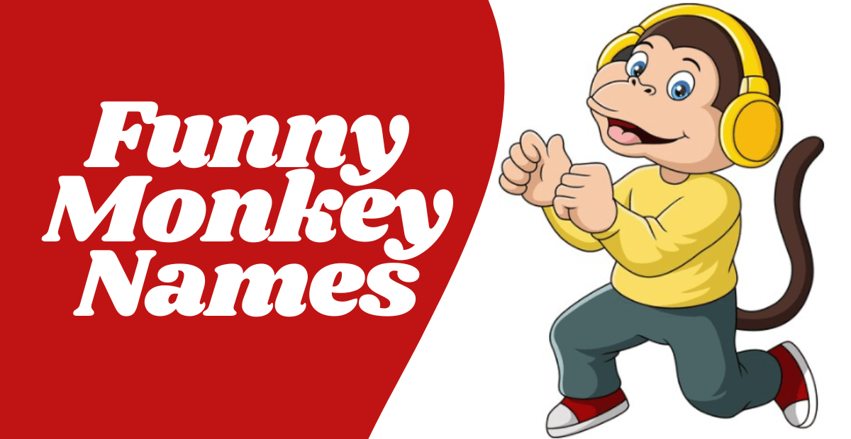 500+ Funny Monkey Names Unique Creative Epic Cool & Cute