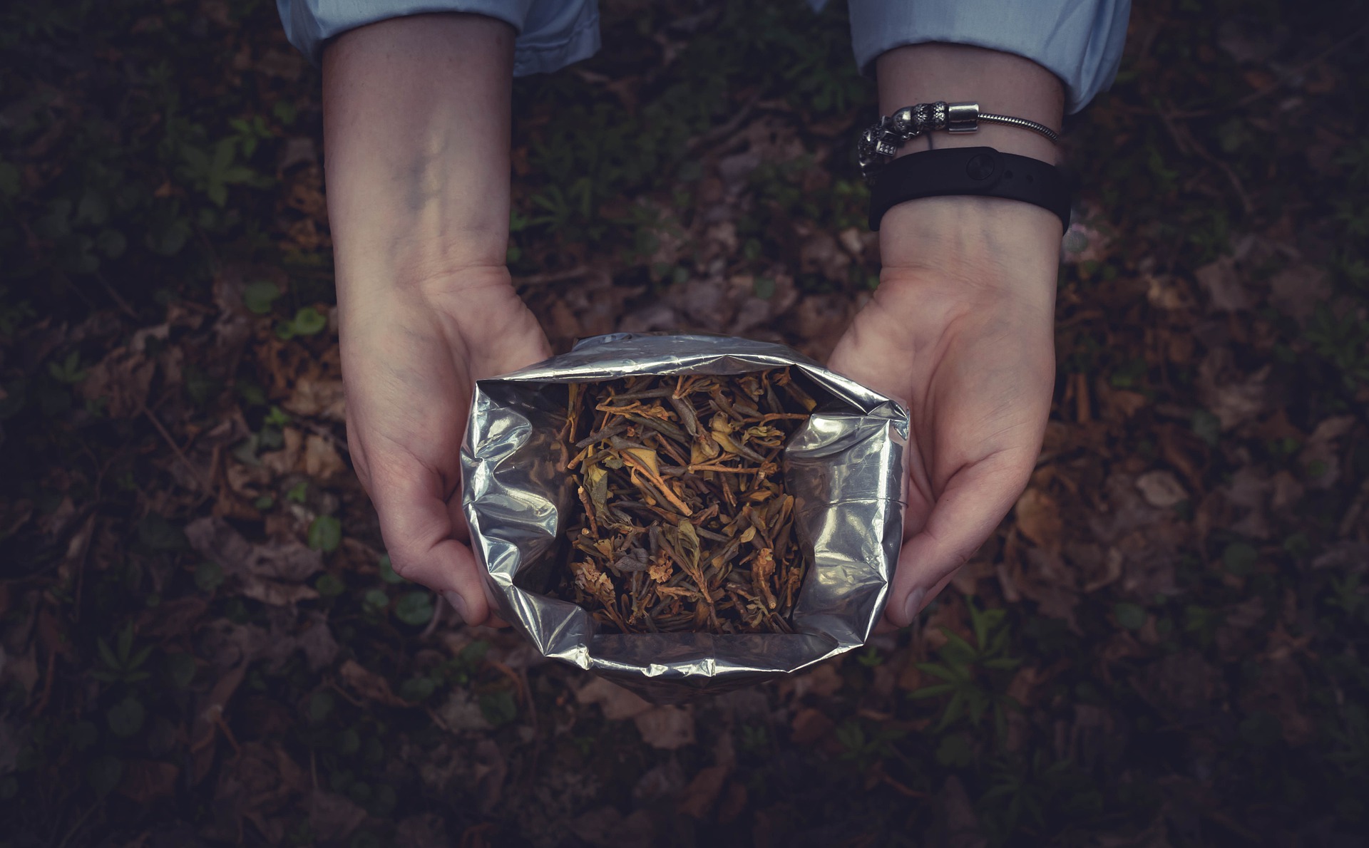 When Does Tea Expire, Is It Safe To Drink? My Tea Vault