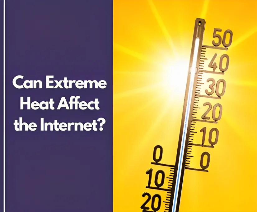 Can Extreme Heat Disrupt the My Tech Bug