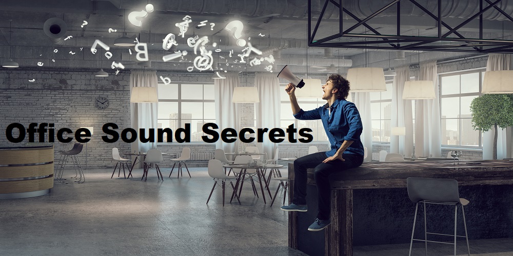 Where Your Office Needs Sound Absorption (and Where Other Techniques