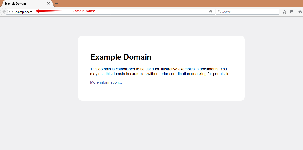 Difference Between a Domain Name and Web Hosting The Ultimate Guide