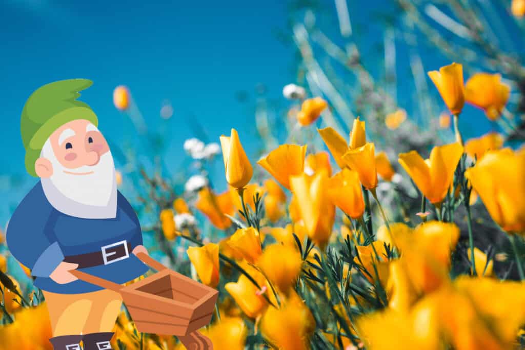 Gnomes vs Elves What is the Difference? Myth Nerd