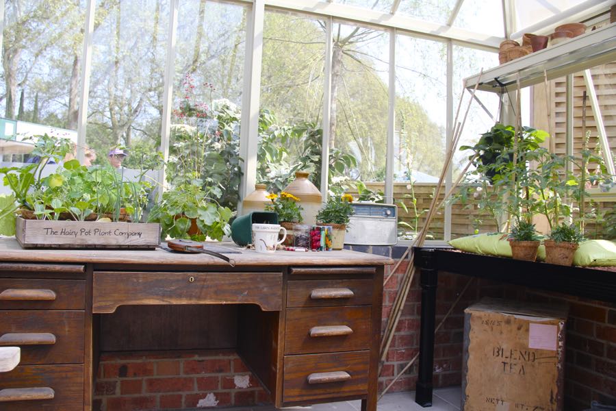 The Perfect Vintage Greenhouse My Tiny Plot