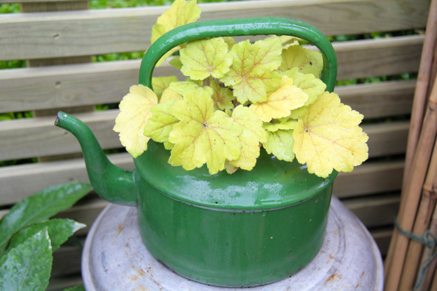 The Chelsea Greenhouses Oh! So Stylish My Tiny Plot