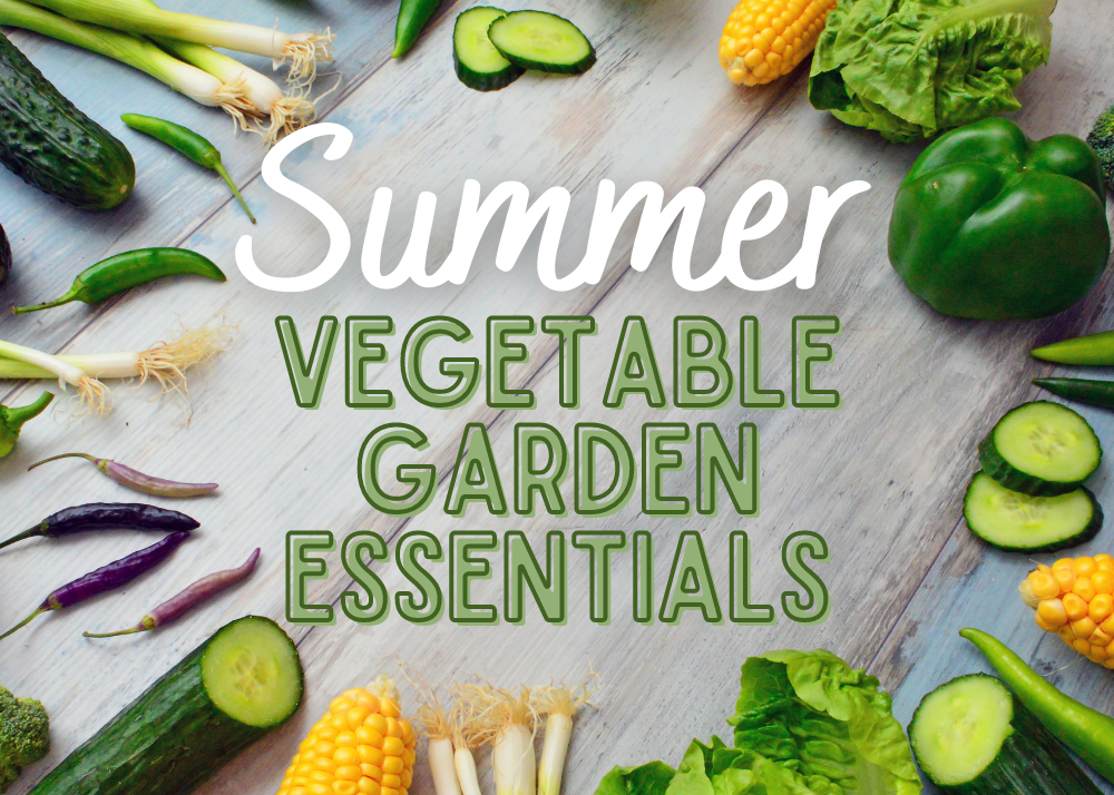 Four Essential Vegetables for Your Summer Garden Terrebonne Parish Library System