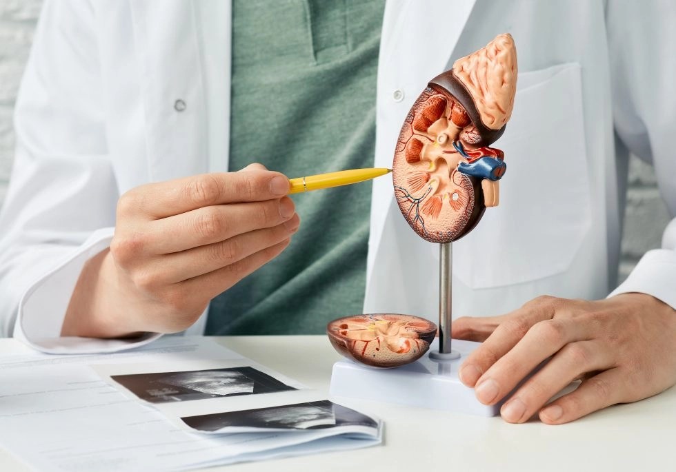 TPMG Urology Serves Patients in Newport News & Williamsburg VA