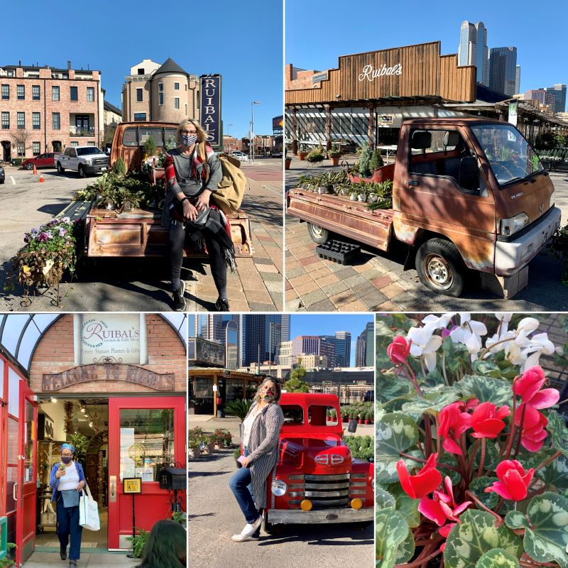 Dallas Farmers Market Top Things To Know My Traveling Roads