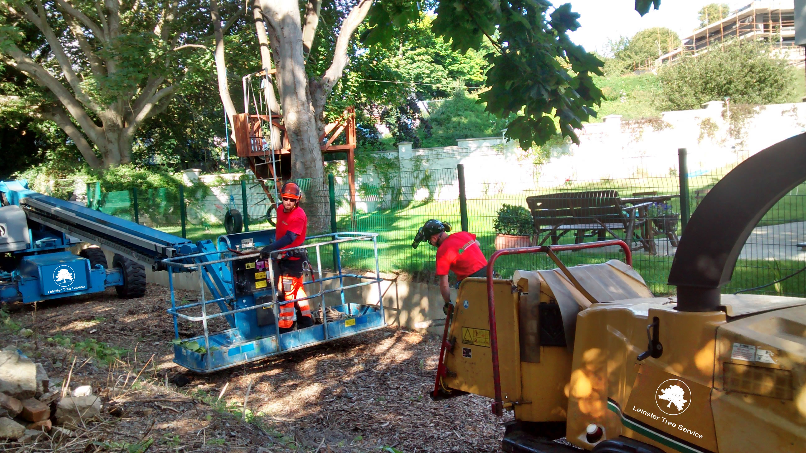 Tree Removal