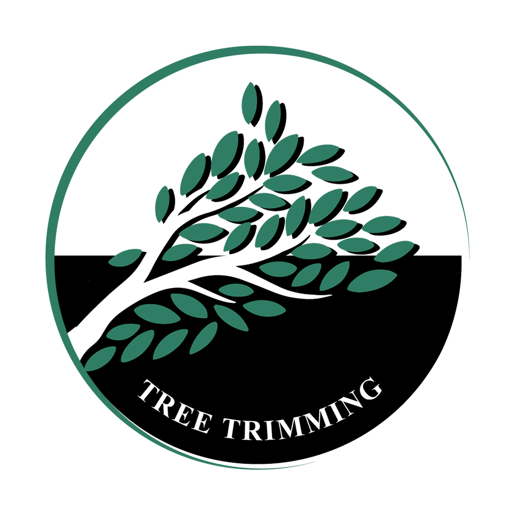 My Tree Guy LLC Siouxland's Trusted Arborist