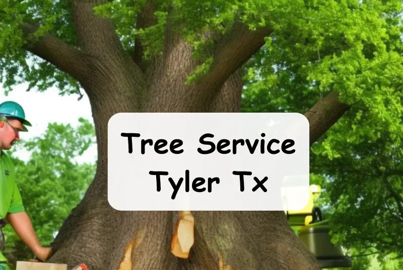 Tree Service Tyler TX Best Service IN Tyler Tx